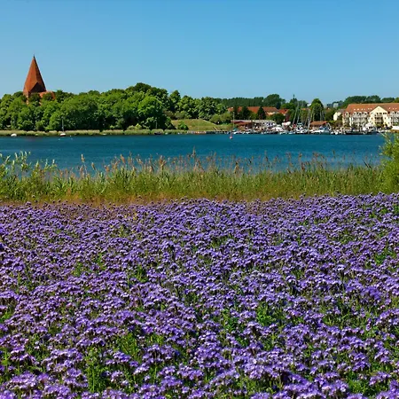 Ferienhaeuser Hohmann Fh Hohmann בית נופש Einhusen (Rostock)